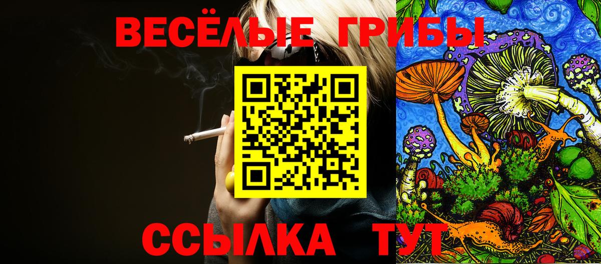 Псилоцибиновые грибы прущие грибы  Вход с VPN  Нижний Новгород 