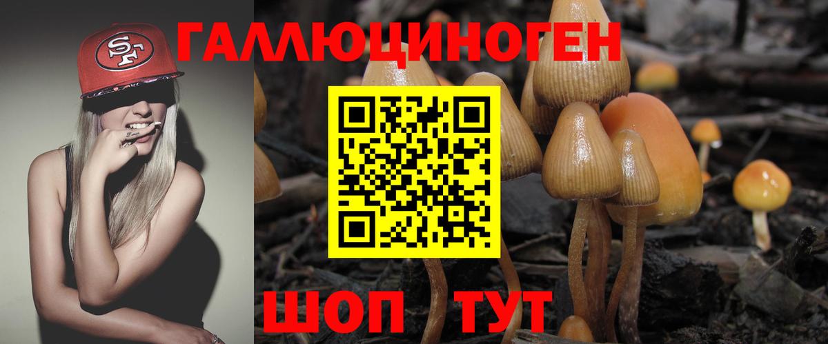 Галлюциногенные грибы мухоморы Нижний Новгород